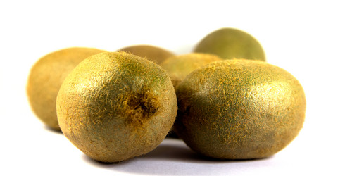 Similar image 1574851