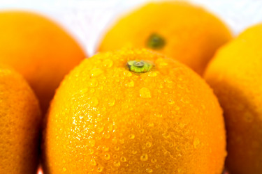 Similar image 1574859