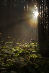 Similar image 1574887