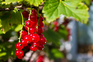 Similar image 1574888