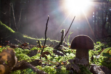 Similar image 1574892