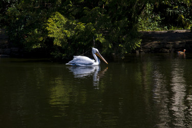 Similar image 1574960