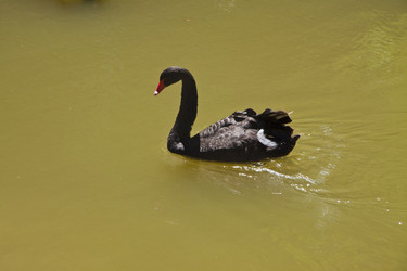 Similar image 1574968