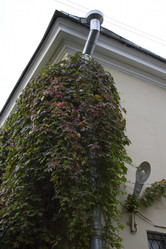 Similar image 1574969