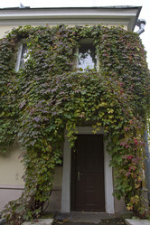 Similar image 1574972