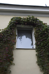 Similar image 1574973