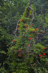 Similar image 1574985