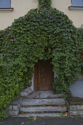 Similar image 1574988