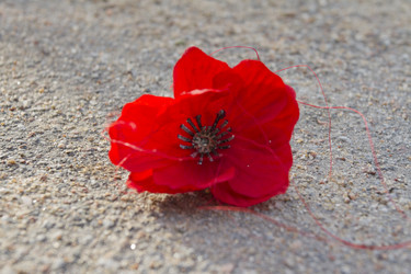 Similar image 1575036