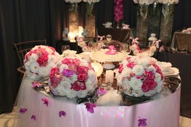 Similar image 1575320