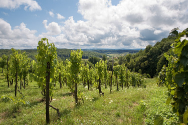 Similar image 1575412