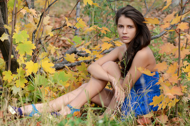 Similar image 1575596