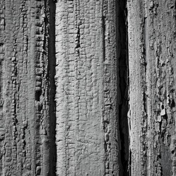 Similar image 1575627