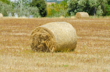 Similar image 1575722