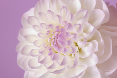 Similar image 1576029