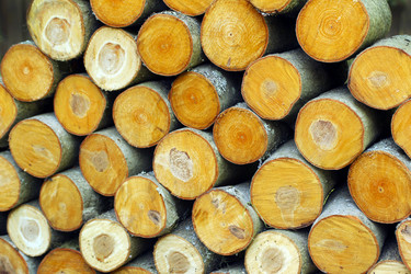 Similar image 1576087