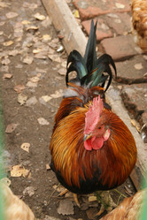 Similar image 1576088