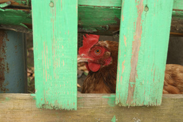 Similar image 1576089