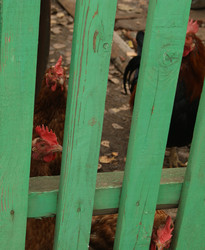 Similar image 1576091