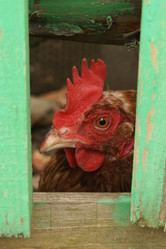 Similar image 1576192