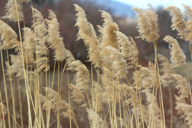 Similar image 1576402