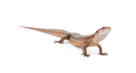 Similar image 1576913