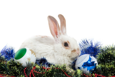 Similar image 1576922