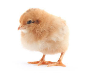 Similar image 1576927