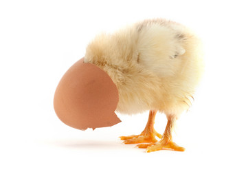 Similar image 1576983