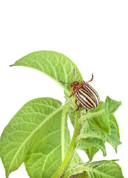 Similar image 1576984