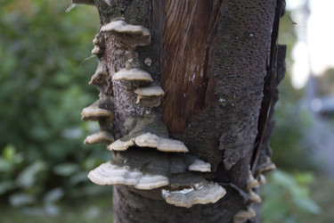 Similar image 1577143