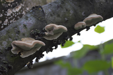 Similar image 1577147