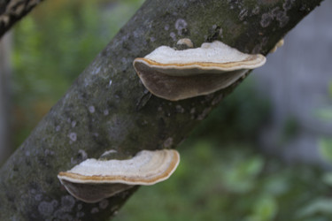 Similar image 1577148