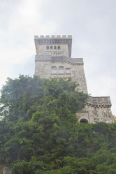 Similar image 1577157