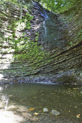 Similar image 1577158