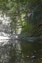 Similar image 1577159