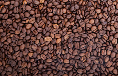 Similar image 1577172