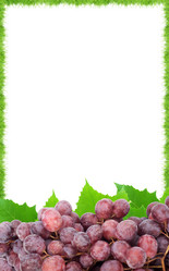 Similar image 1577216