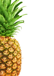 Similar image 1577274