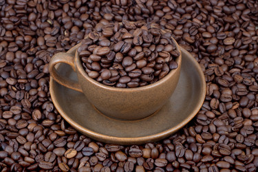 Similar image 1577283