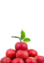 Similar image 1577286