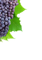 Similar image 1577302