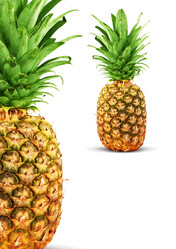 Similar image 1577309