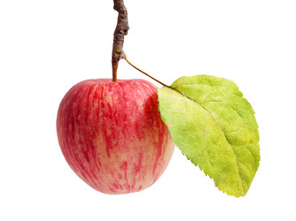 Similar image 1577315