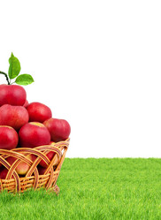 Similar image 1577338