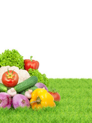 Similar image 1577343