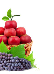 Similar image 1577355