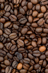 Similar image 1577361