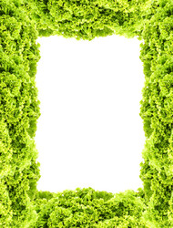 Similar image 1577383