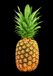 Similar image 1577406